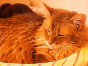 20110225_687shuusei.jpg