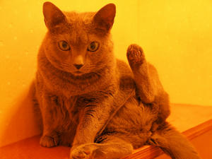 20110225_691shuusei.jpg
