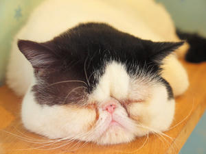 20110225_714shuusei.jpg