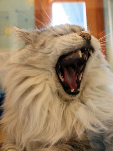 20110225_739shuusei.jpg