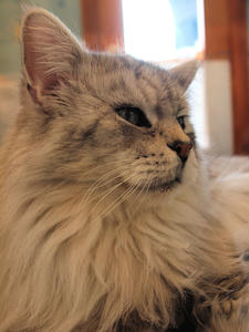 20110225_741shuusei.jpg