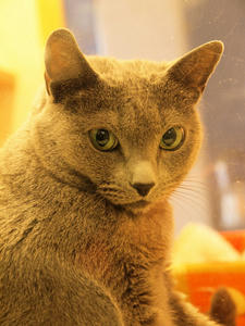20110225_748shuusei.jpg