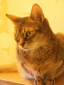 20110225_749shuusei.jpg