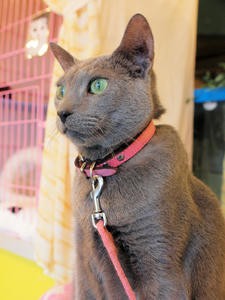 20110225_752shuusei.jpg