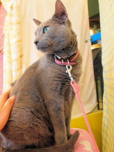 20110225_758shuusei.jpg