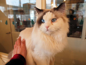 20110225_712shuusei.jpg