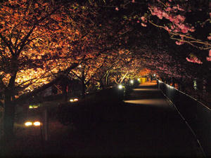 20110225_781shuusei.jpg