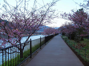 20110225_808shuusei.jpg