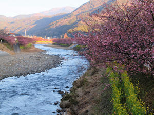 20110225_845shuusei.jpg