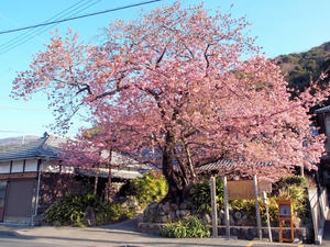 20110225_862shuusei.jpg