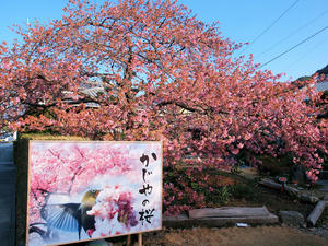 20110225_873shuusei.jpg