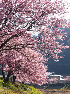 20110225_922shuusei.jpg