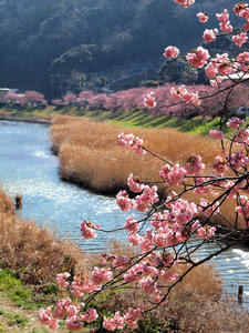 20110225_926shuusei.jpg
