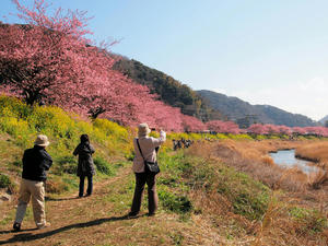 20110225_911shuusei.jpg