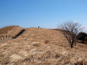 20110225_960shuusei.jpg