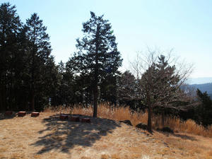 20110225_996shuusei.jpg