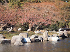 20110225_1003shuusei.jpg