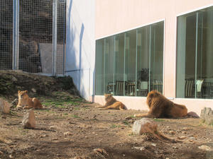 20110225_1031shuusei.jpg