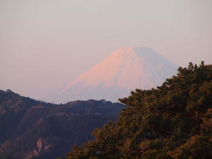 20110225_1233shuusei.jpg