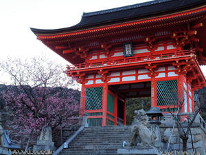 20110414_27shuusei.jpg