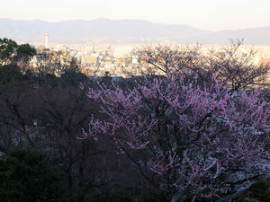 20110414_67shuusei.jpg