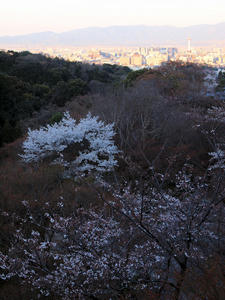 20110414_46shuusei.jpg