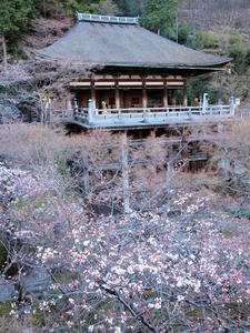 20110414_35shuusei.jpg