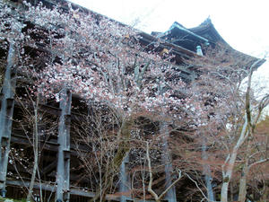 20110414_52shuusei.jpg