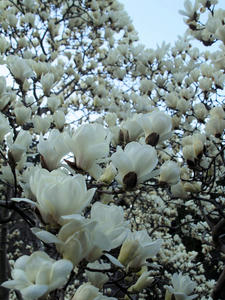 20110414_54shuusei.jpg