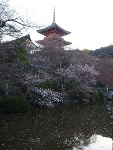 20110414_60shuusei.jpg