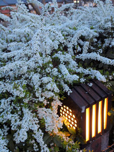 20110414_4shuusei.jpg