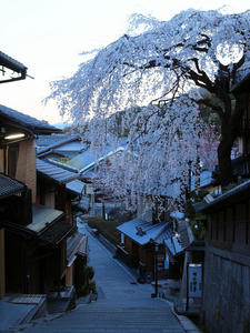 20110414_24shuusei.jpg