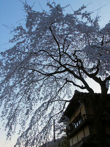 20110414_72shuusei.jpg