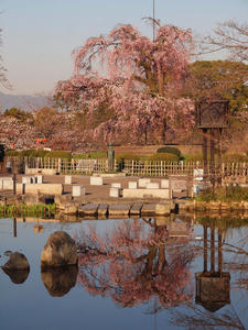 20110414_97shuusei.jpg