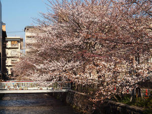 20110414_118shuusei.jpg