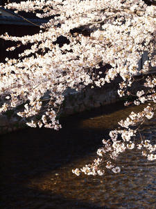 20110414_119shuusei.jpg