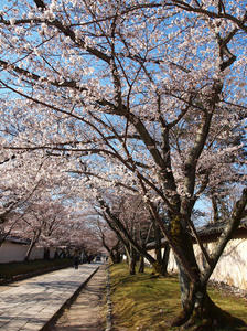 20110414_135shuusei.jpg