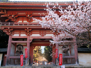 20110414_143shuusei.jpg