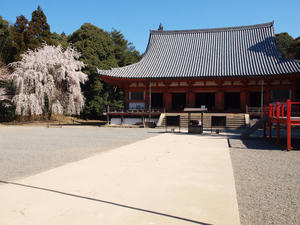 20110414_151shuusei.jpg