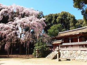 20110414_154shuusei.jpg