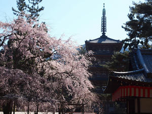 20110414_163shuusei.jpg