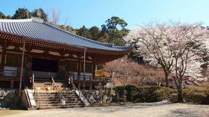 20110414_169shuusei.jpg