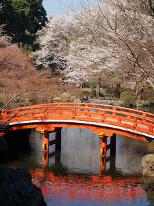 20110414_180shuusei.jpg