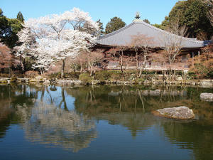 20110414_183shuusei.jpg