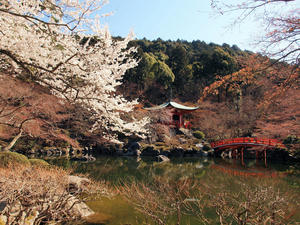 20110414_192shuusei.jpg