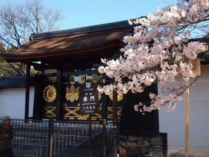 20110414_138shuusei.jpg