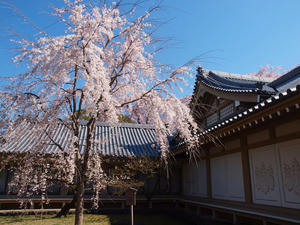 20110414_206shuusei.jpg