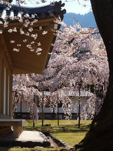 20110414_208shuusei.jpg