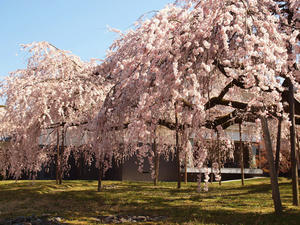 20110414_220shuusei.jpg