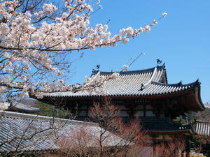 20110414_265shuusei.jpg